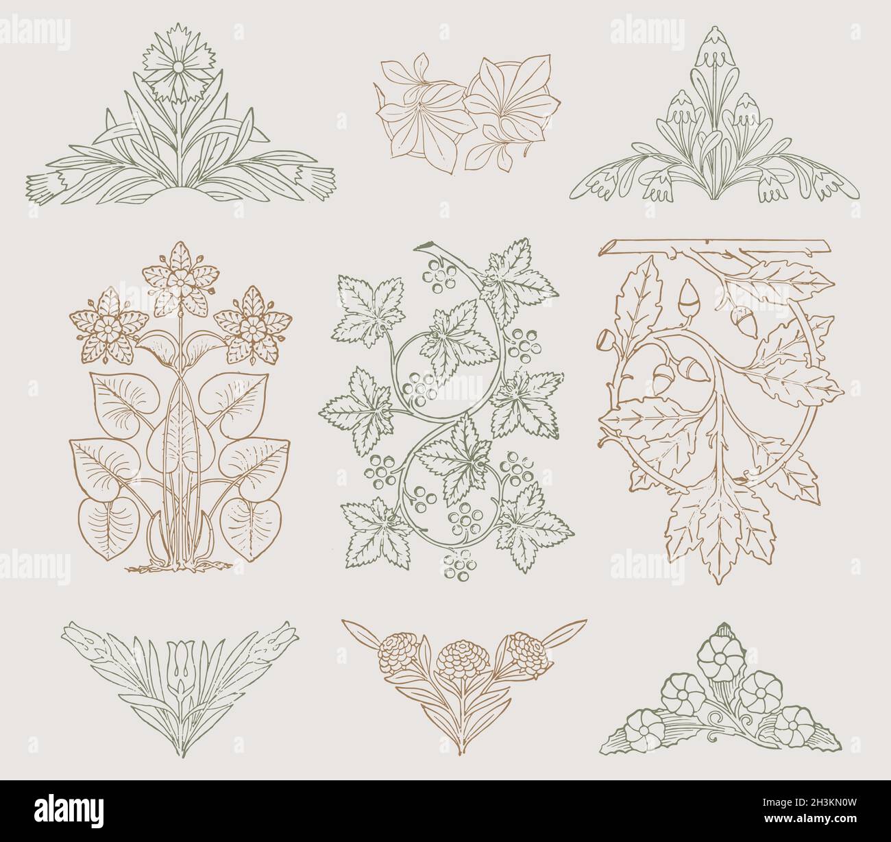 Delicate vintage leaves and flowers. Imagery for natural products, herbals and packaging design. Stock Vector
