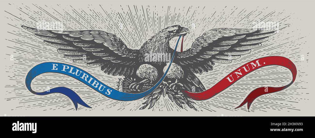 洋楽 The 49 Americans - E Pluribus Unum The 49 Americans : E Pluribus Unum - sheyeye records