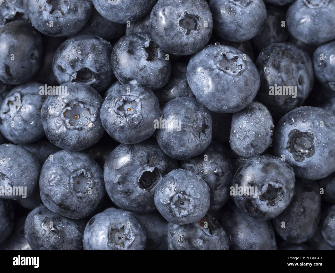 Blueberries fruit background. Water drops on ripe sweet blueberry. Top ...