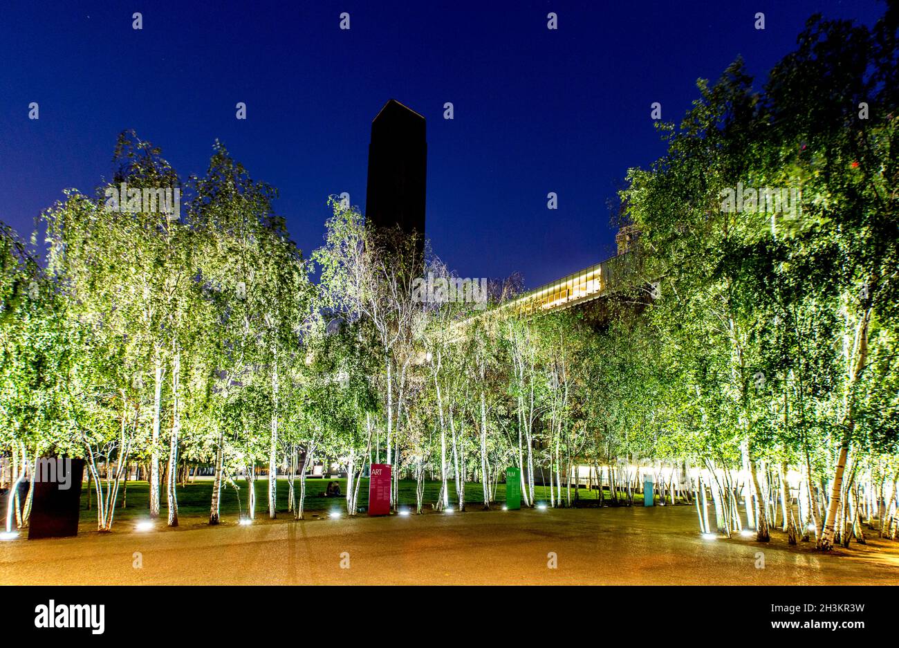 Silver Birch Trees At Night Outside The Tate Modern Stock Photo Alamy
