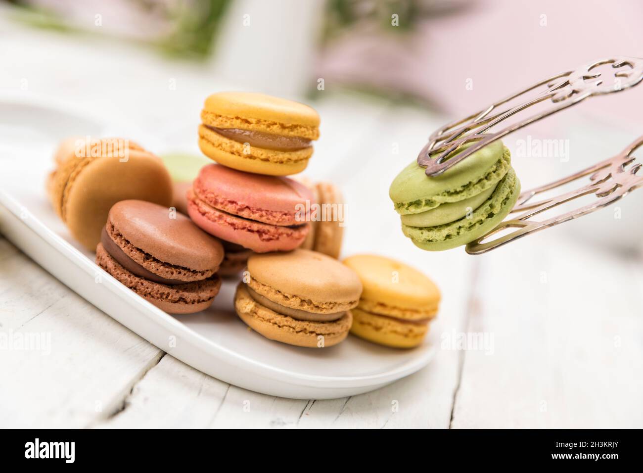 Picking a pistachio flavored macaron with pastry tongs from a selection of cookies on a plate, tilted view Stock Photo