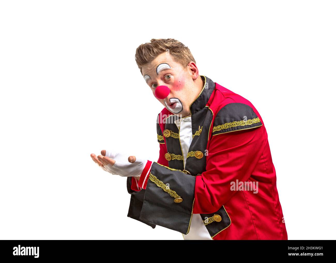 Jester clown entertainer hi-res stock photography and images - Alamy