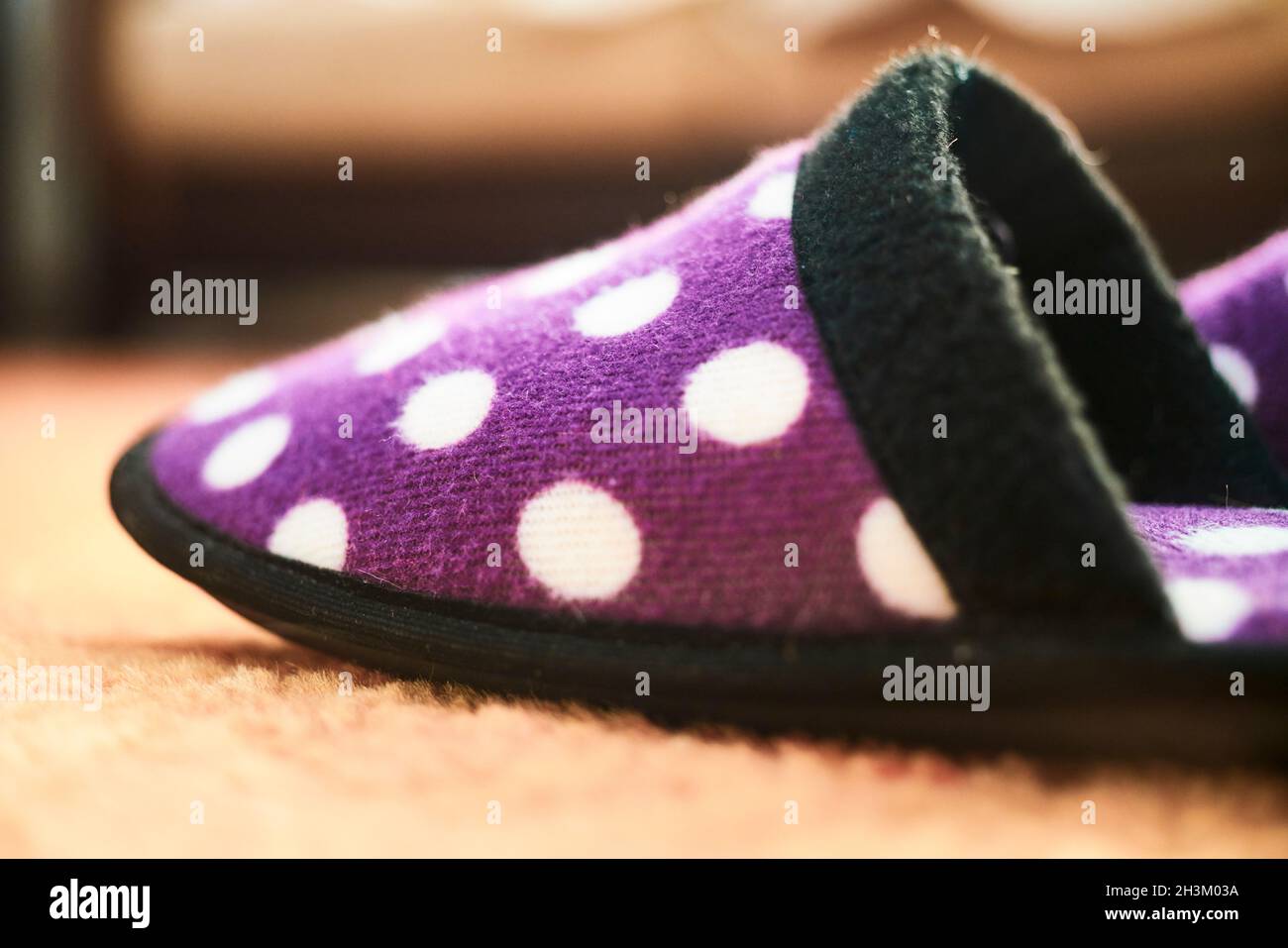winter shoe to walk around the house, purple with white polka dots