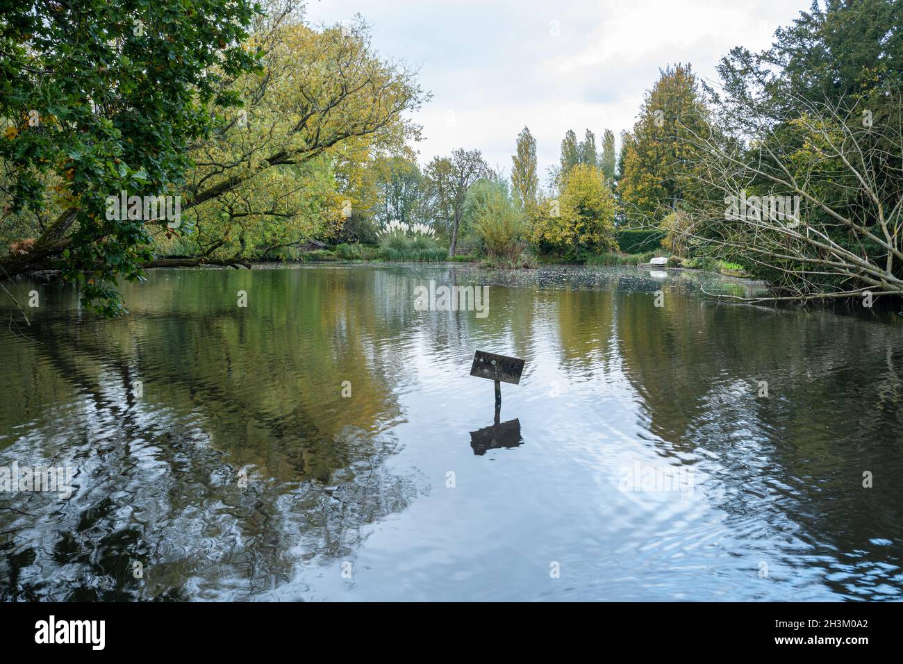 Village duck hires stock photography and images Alamy