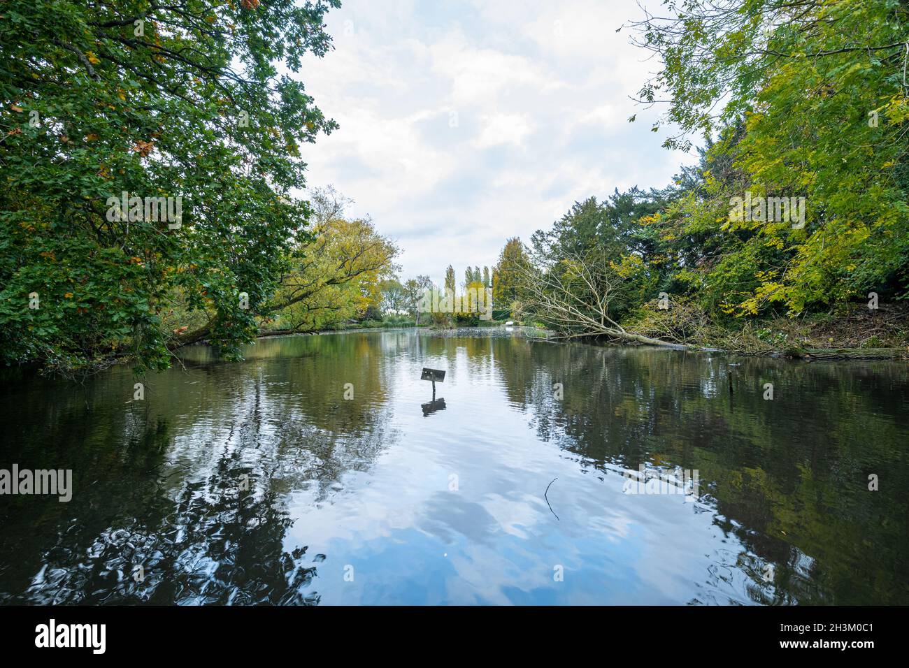 Village duck hires stock photography and images Alamy