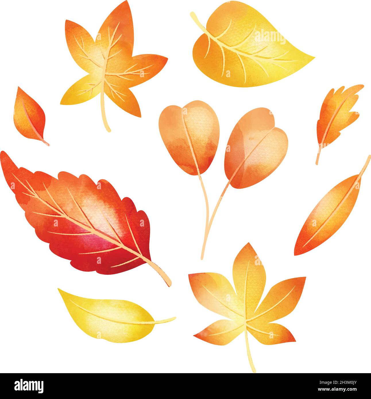 watercolor autumn leaves collection vector design illustration Stock ...