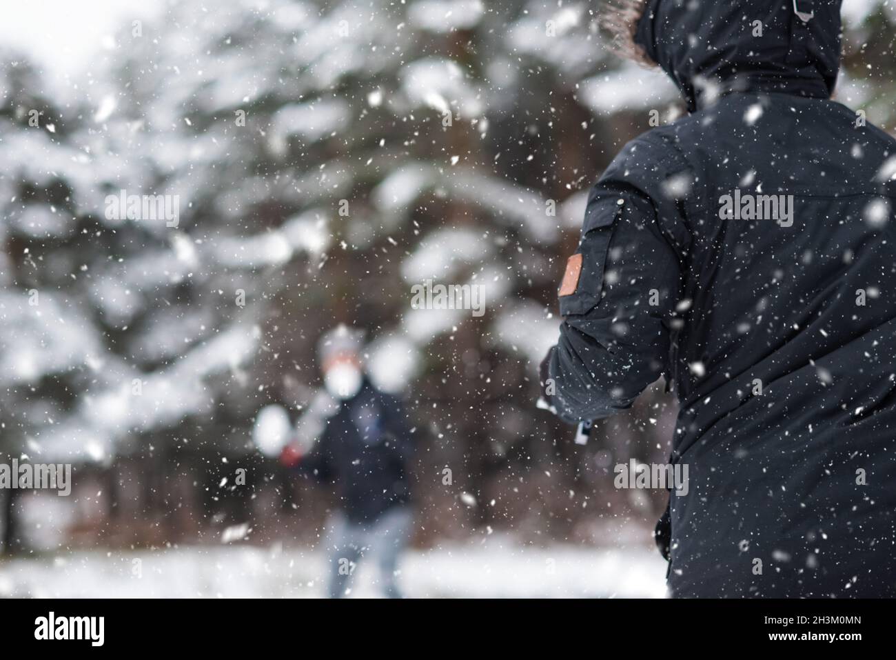 Throwing snow balls hires stock photography and images Alamy