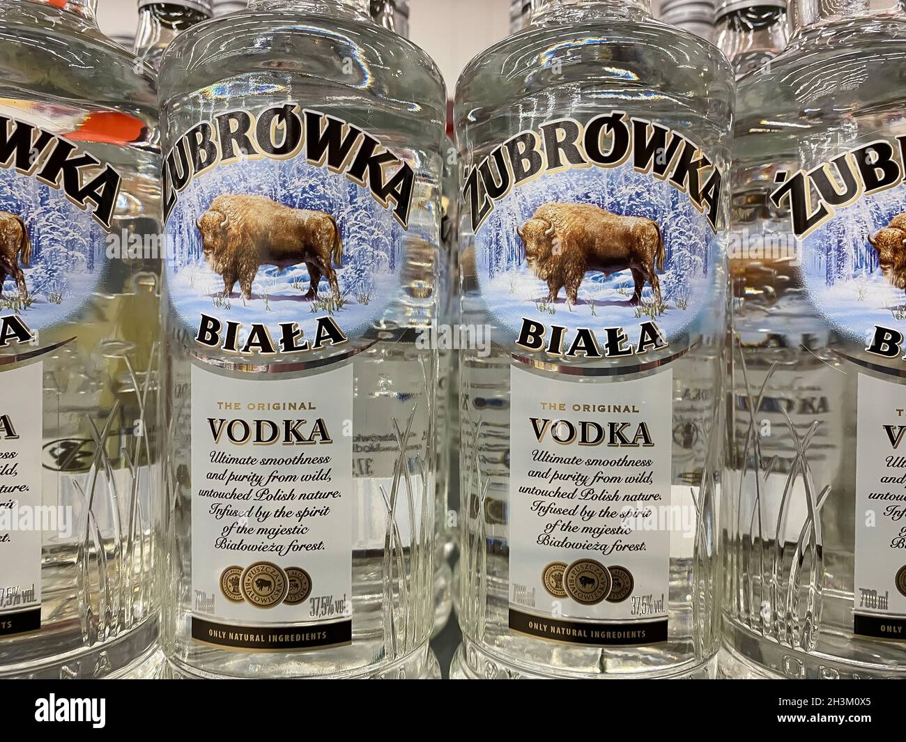 Viersen, Germany - June 9. 2021: View on bottle labels with logo lettering of zubrowka biala vodka in shelf of german supermarket Stock Photo