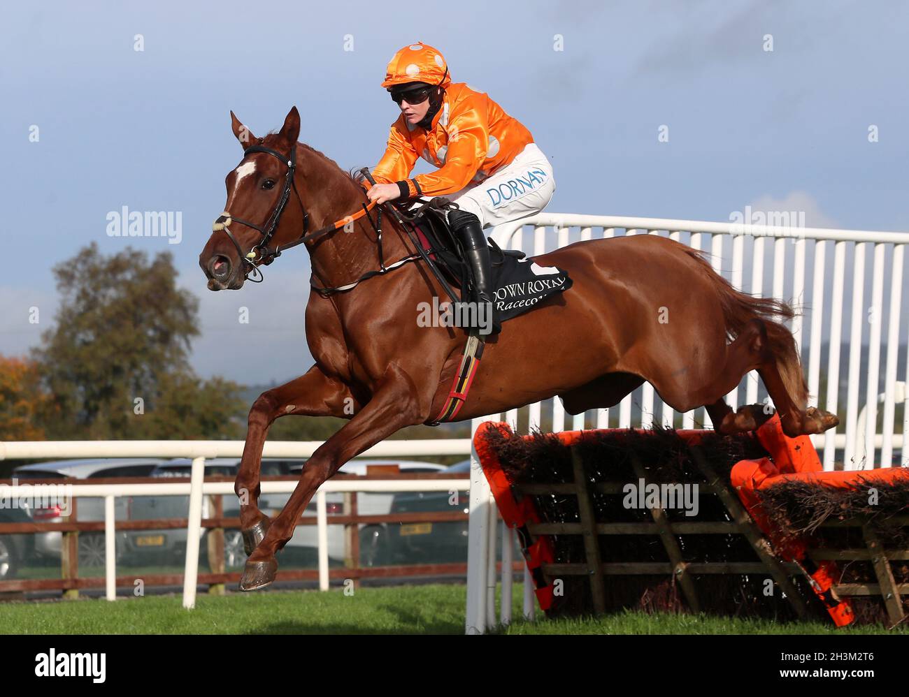 Ebf Farming Roya Irish jockey rachael blackmore hi-res stock photography and images - Alamy