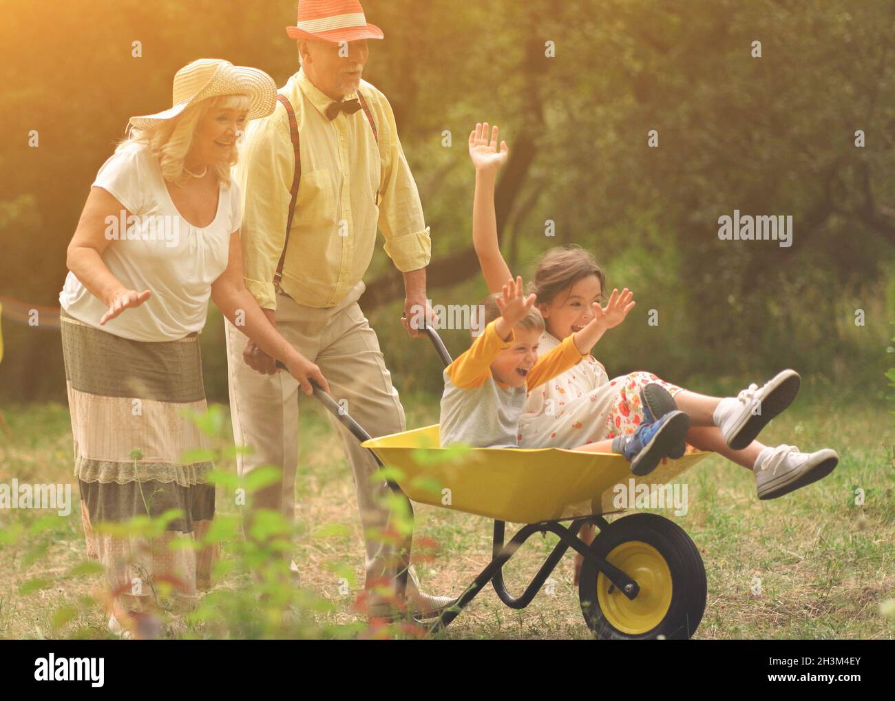 Grandma And Grandpa Are Riding Their Grandchildren In A Wheelbarrow Stock Photo