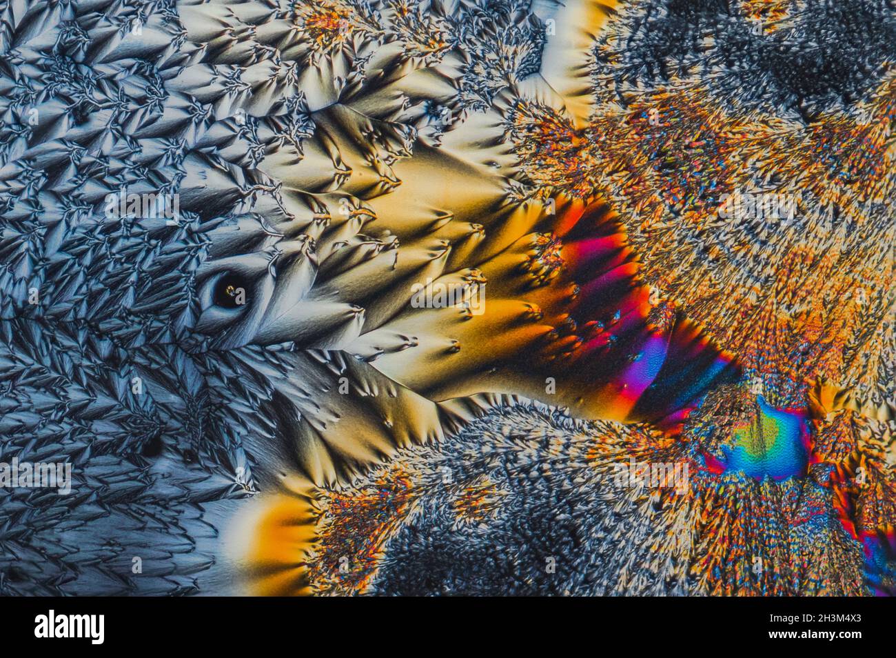 Extreme macro photograph of Vitamin C crystals forming abstract modern