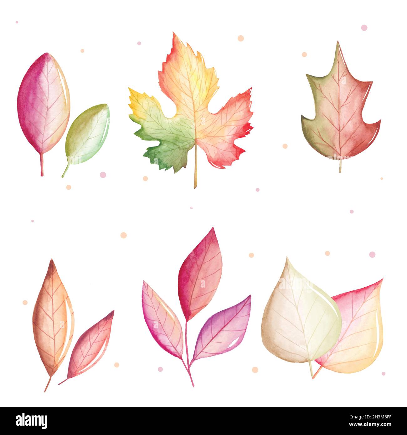 watercolor autumn leaves collection vector design illustration Stock ...