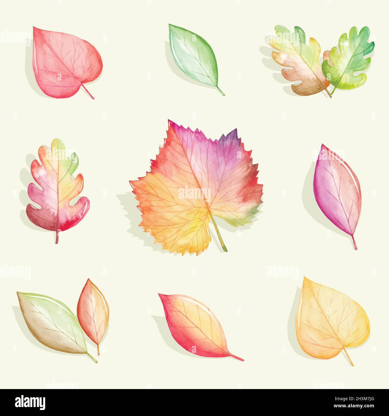 watercolor autumn leaves collection vector design illustration Stock ...