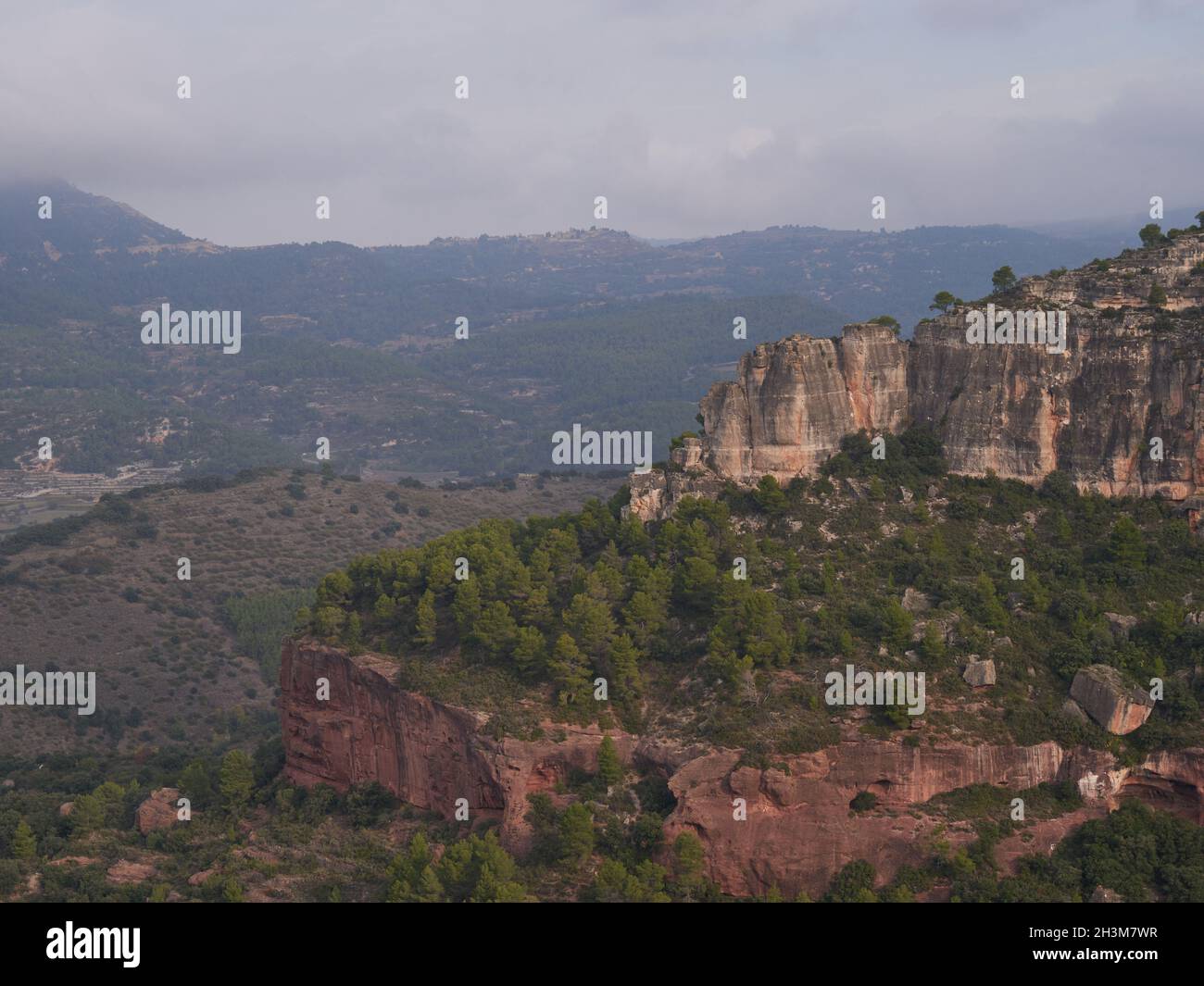 High mountains covered green trees hi-res stock photography and images ...