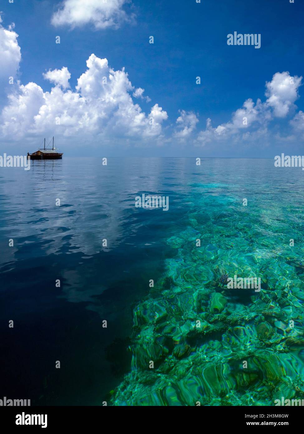 The deep water drop off on the ocean side of a coral reef South Ari