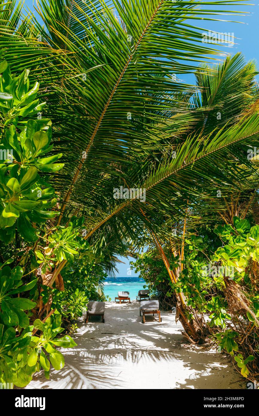 Tropical paradise in Maldives, North Male Atoll Stock Photo