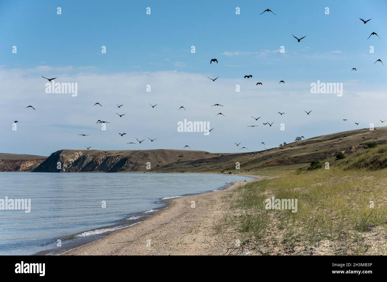 A flight of crows flying along the the western shore of Olkhon island in Lake Baikal. Olkhonsky district, Irkutsk oblast, Russia Stock Photo