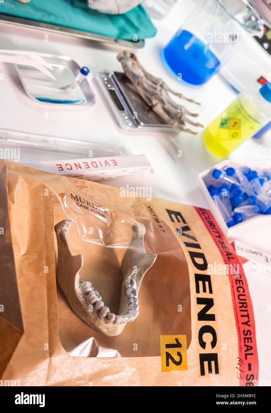 Evidence bag with human lower jaw in forensic lab murder investigation, conceptual image Stock Photo