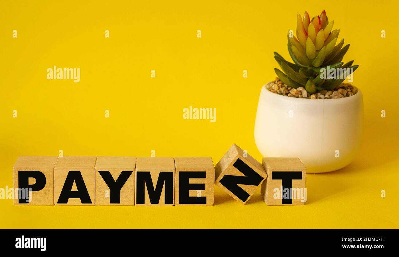Wooden blocks with the text: PAYMENT. On a yellow background and with a cactus in a pot. New business startup concept. Stock Photo