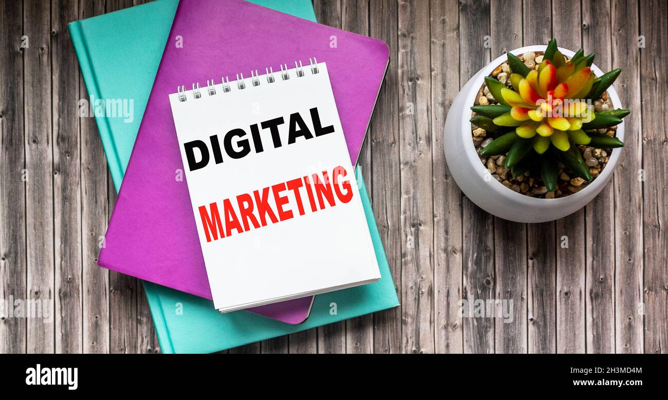 Digital marketing, text written on sticky note. Notepads and a cactus flower are on a wooden table Stock Photo