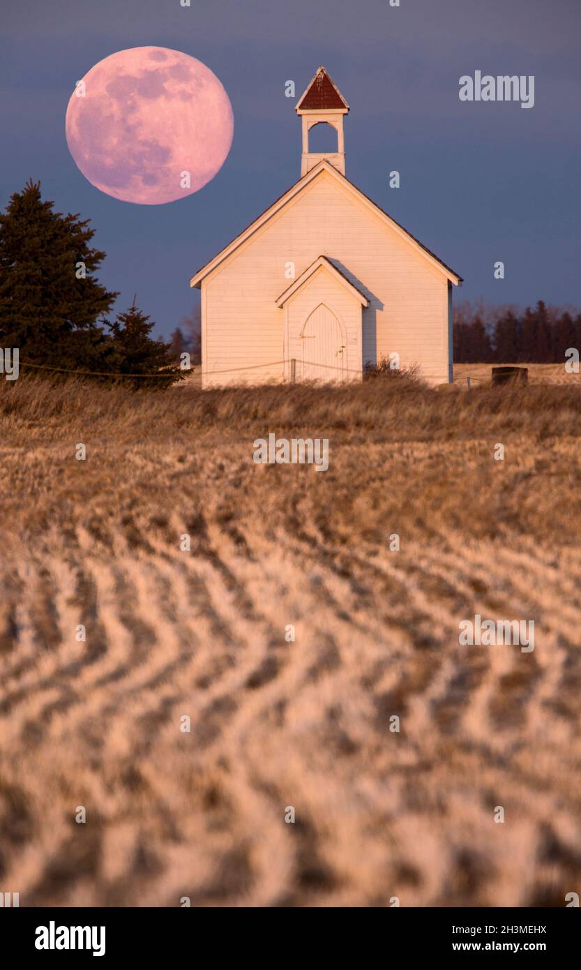 Full Pink Moon Stock Photo Alamy