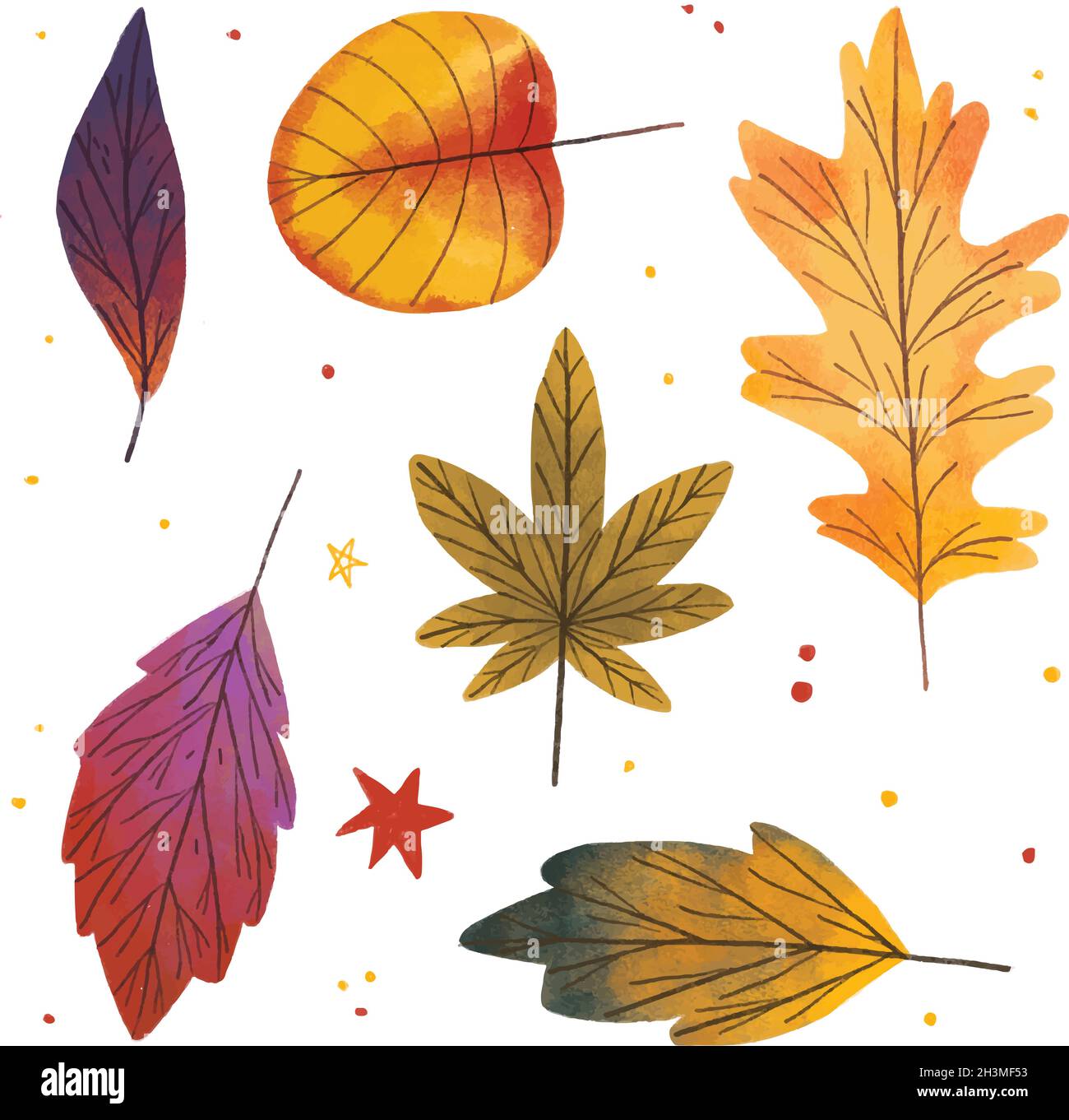 hand drawn autumn leaves collection vector design illustration Stock ...
