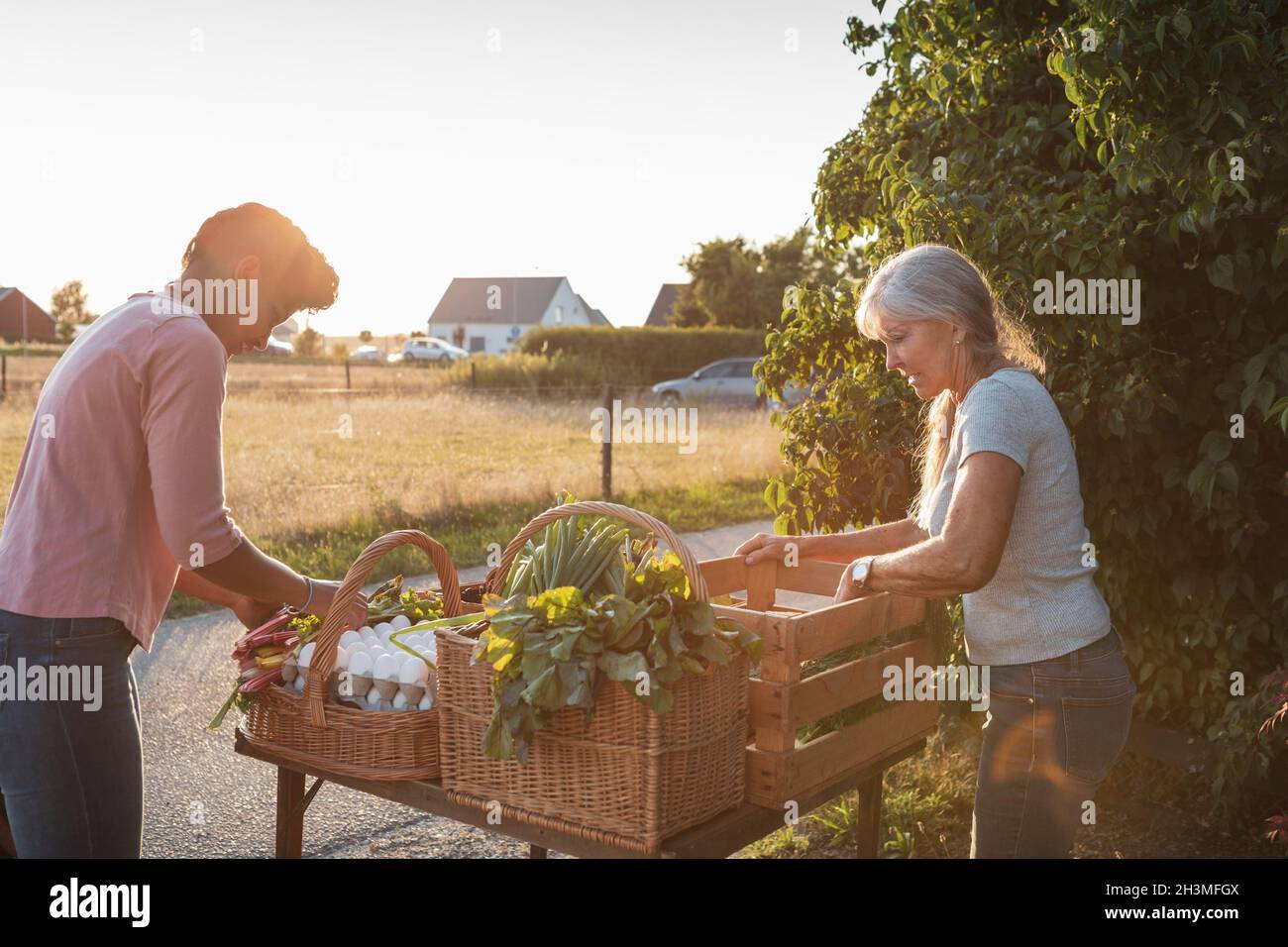 Female farm workers arranging vegetable on market stall at roadside Stock Photo