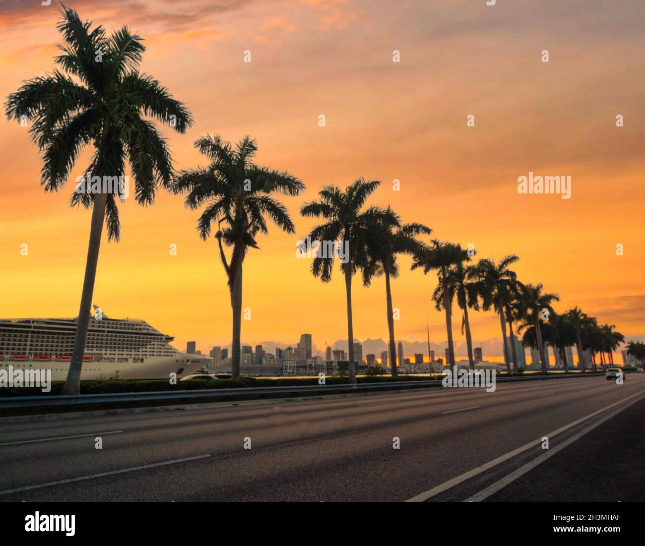 panorama view sunset Miami Florida palms Stock Photo Alamy