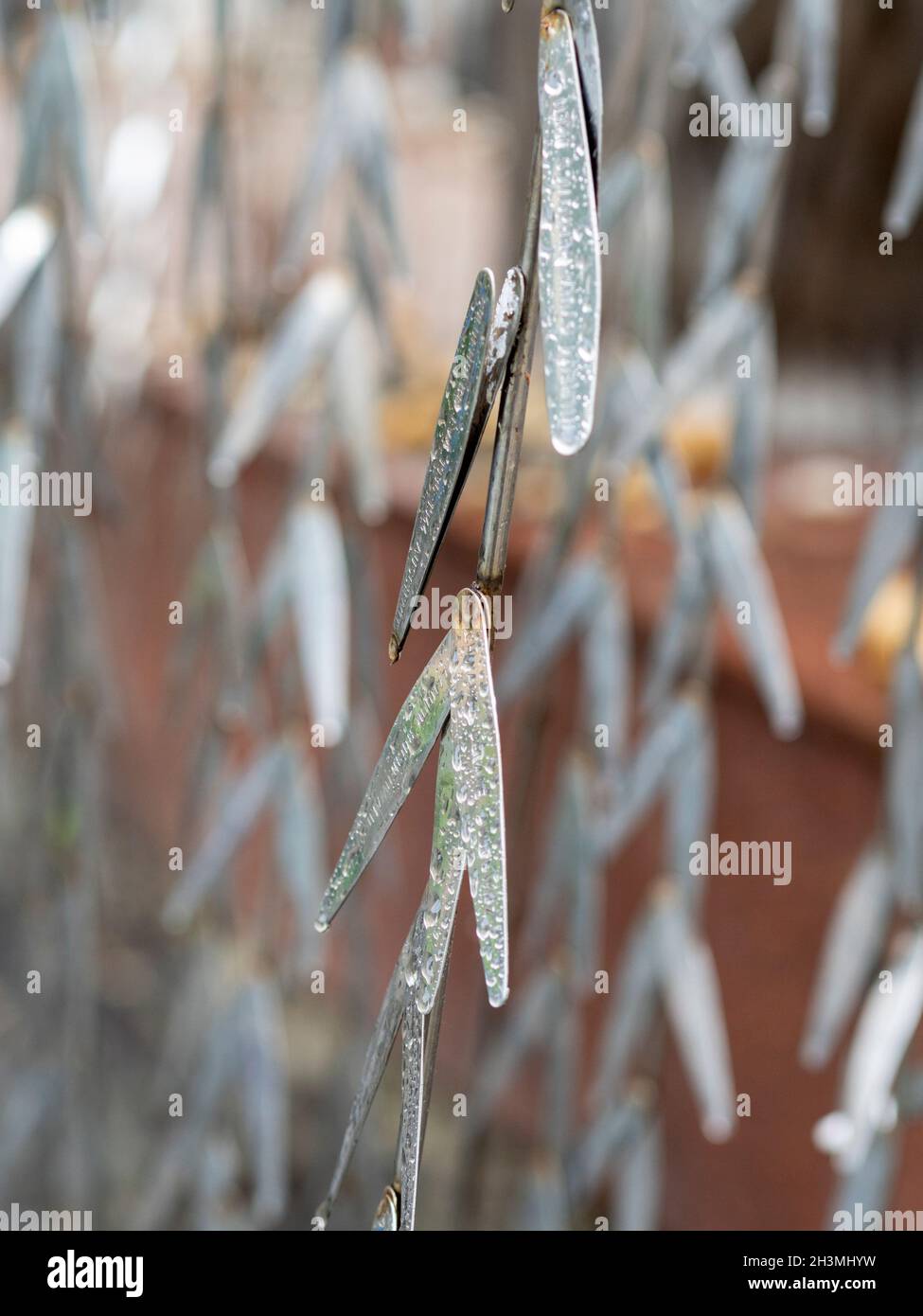Names embossed into the metal leaves of the Holocaust Memorial Tree in the rain: Victims of the Holocaust are named on the metal leaves of the weeping Holocaust memorial Tree at the Great Synagogue in Budapest. Rain drips like tears. Stock Photo
