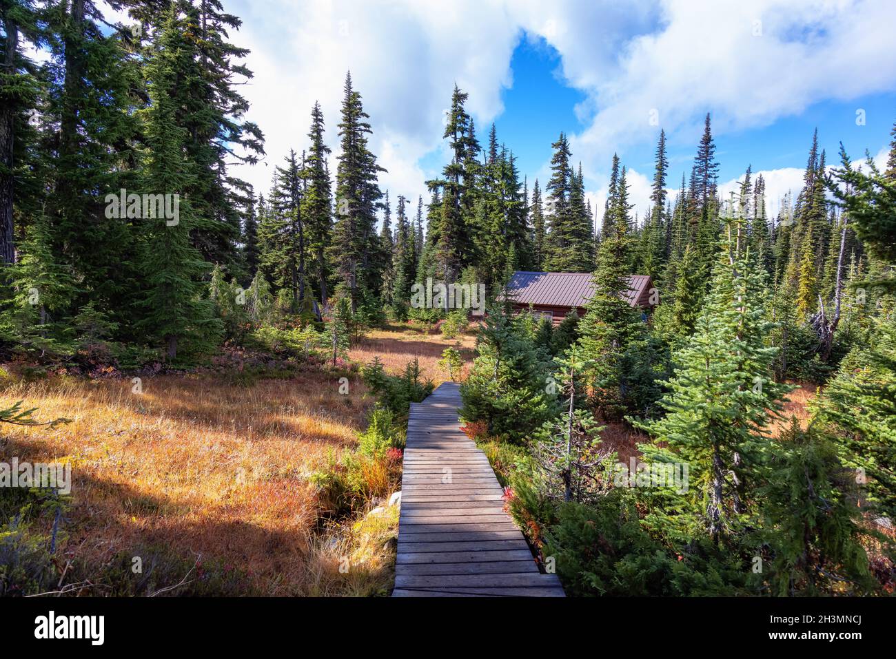 Hiking trail outdoors in Canadian nature. Sunny Fall Season Stock Photo ...