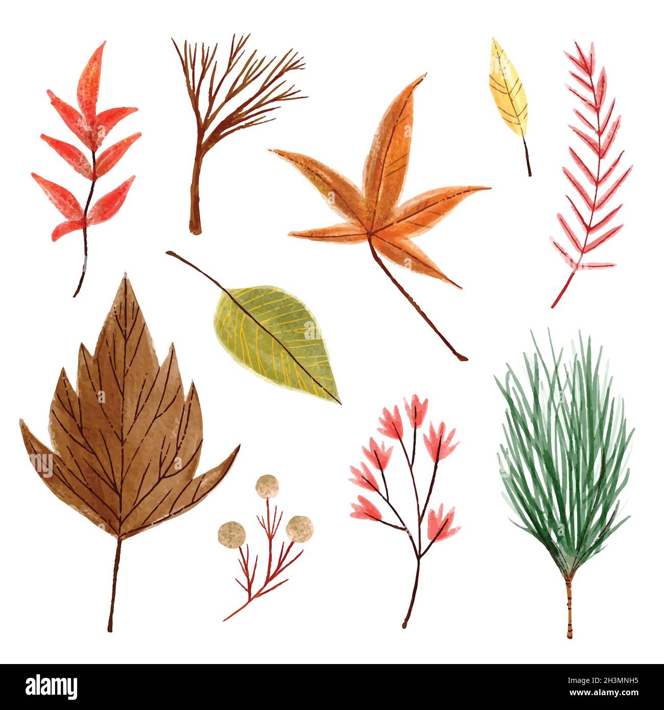 watercolor autumn leaves collection vector design illustration Stock ...