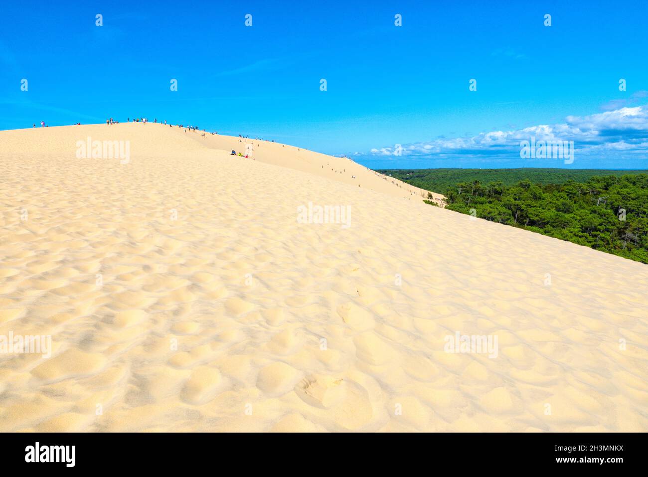 Dune du Pilat, the highest dune in the world, France Stock Photo Alamy