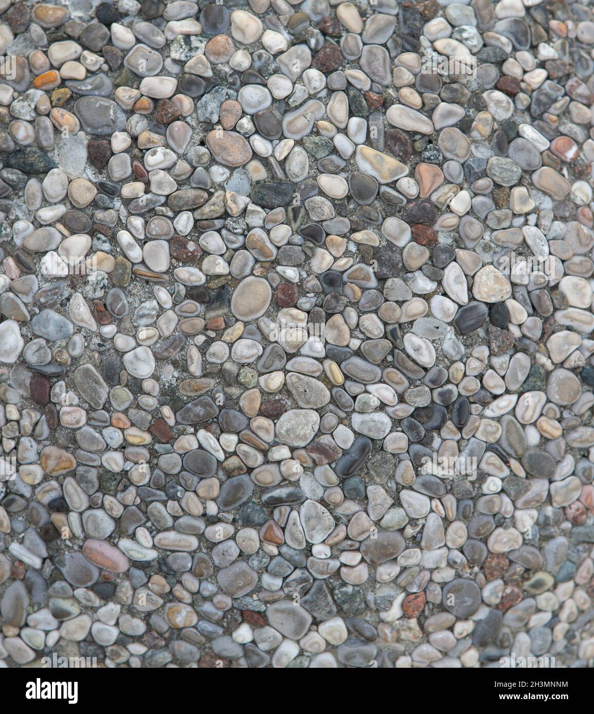 Multi-colored sea pebbles at pathway outdoors. Small round stones are in cement mortar. Selective focus at centre of image. Abst Stock Photo