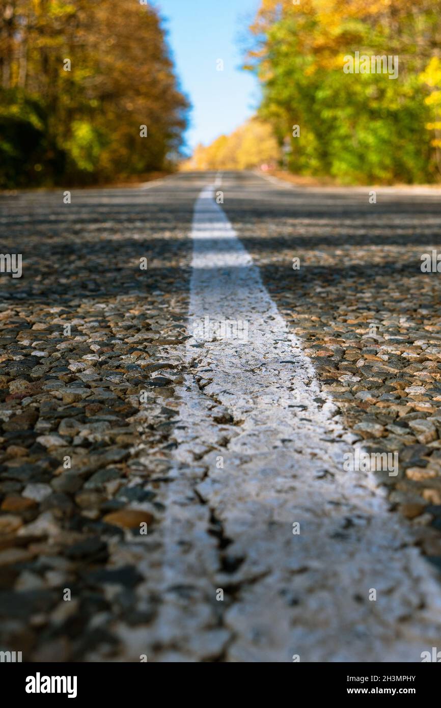 A crack in the asphalt on a white strip of road markings. Close-up. In the  background blurred yellow-green trees and blue sky. Bottom foreshortening  Stock Photo - Alamy