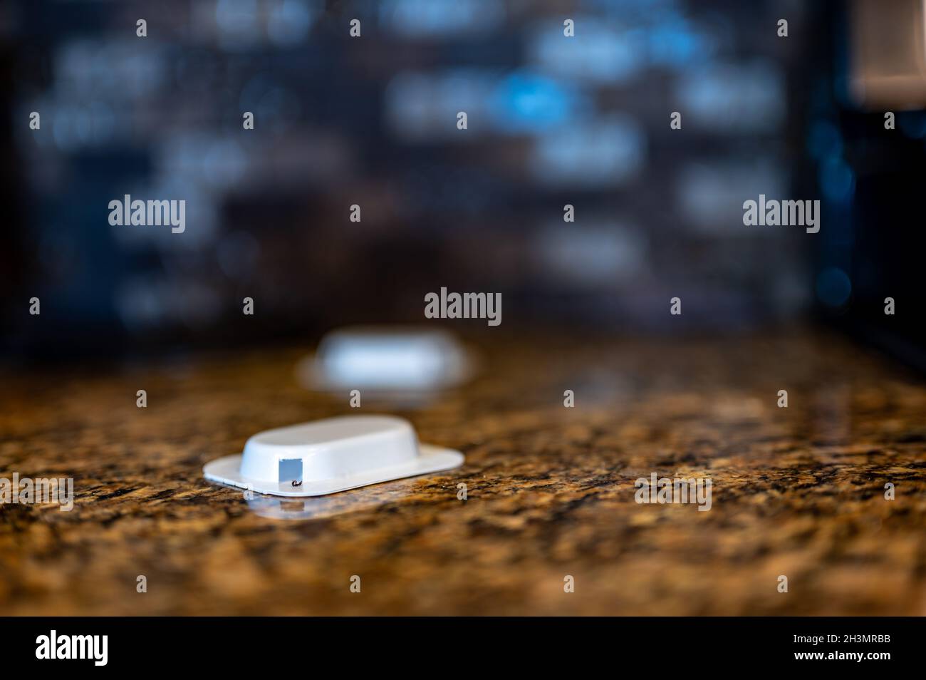 Ants house counter hires stock photography and images Alamy