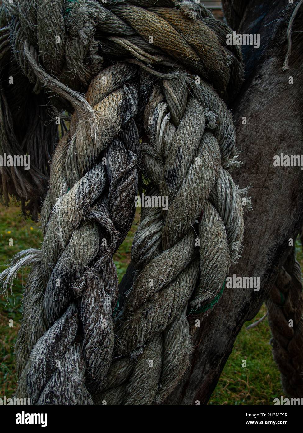 Jersey & The Channel Islands Stock Photo Alamy