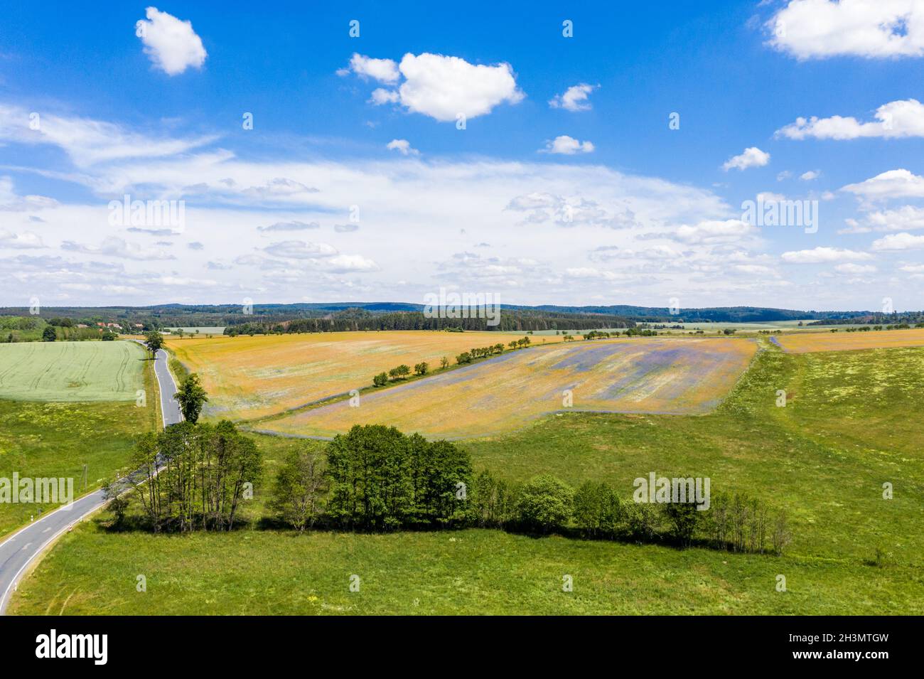 Flowering meadows and fields Stock Photo - Alamy