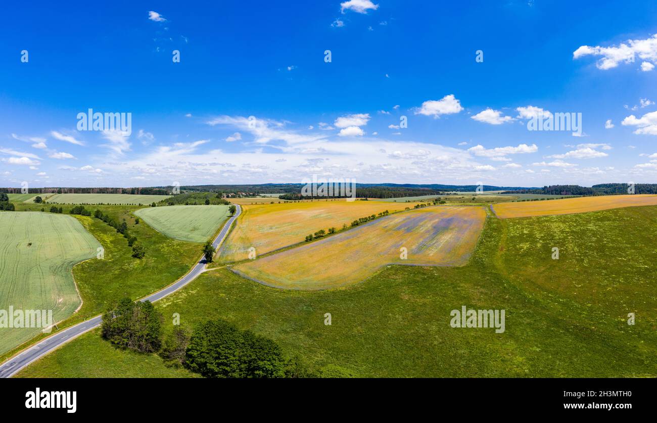 Flowering meadows and fields Stock Photo - Alamy