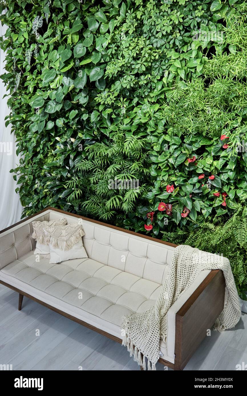 Minimalist interior design. Stylish home plants in bedroom and ... - Small Minimalist Interior Design With Plants