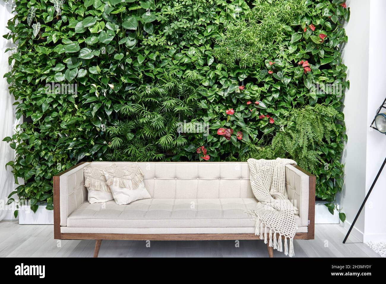 Image showcasing Minimalist interior design. Stylish home plants in bedroom and ...