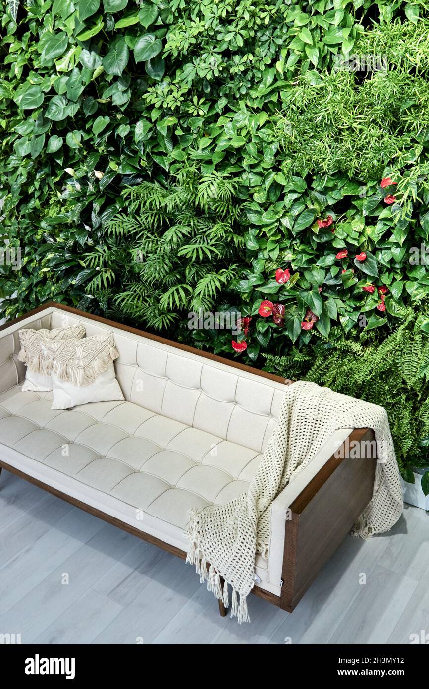 Photo inspiration: Minimalist Plant Interior Design Reference: Minimalist Interior Design Stylish Home Plants In Bedroom And