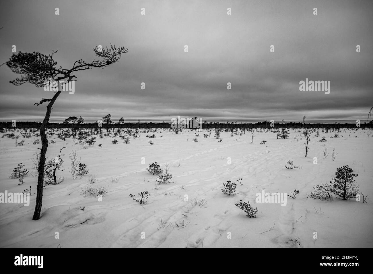 Beautiful winter landscape in daylight Stock Photo - Alamy