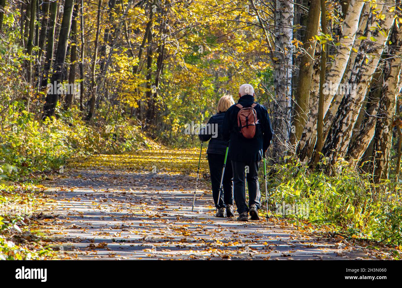 An elderly couple with a hiking sticks walks on a path in the autumn landscape Stock Photo