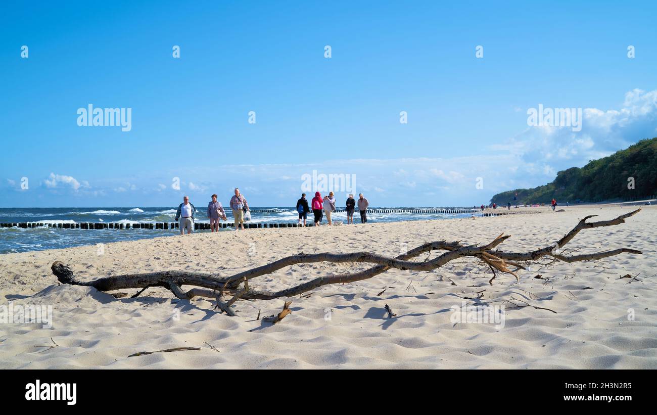 Flotsam and walkers on the beach of Rewal on the Polish Baltic Sea coast Stock Photo