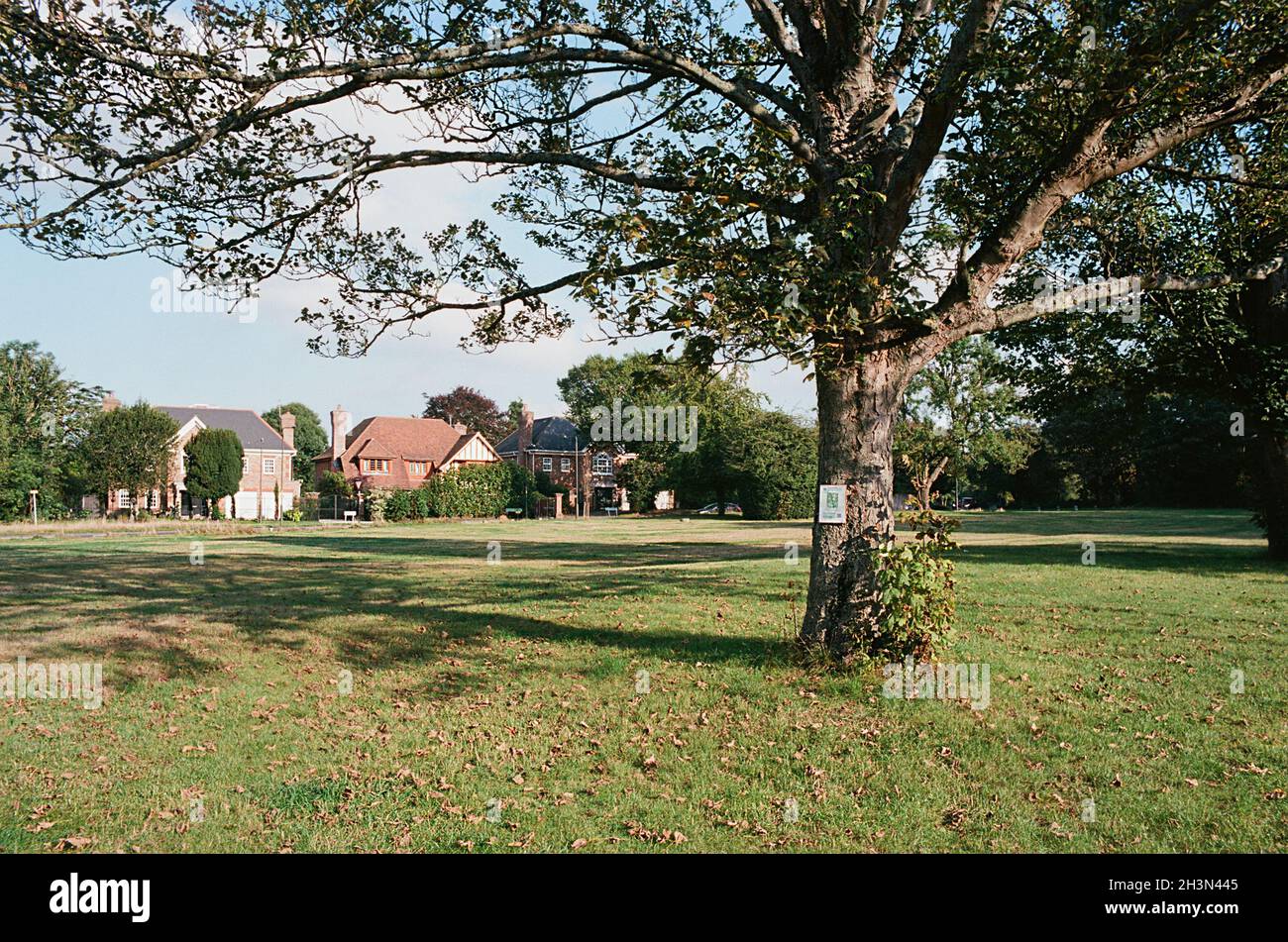 Chislehurst Common in autumn, in the Borough of Bromley, Greater London, UK Stock Photo