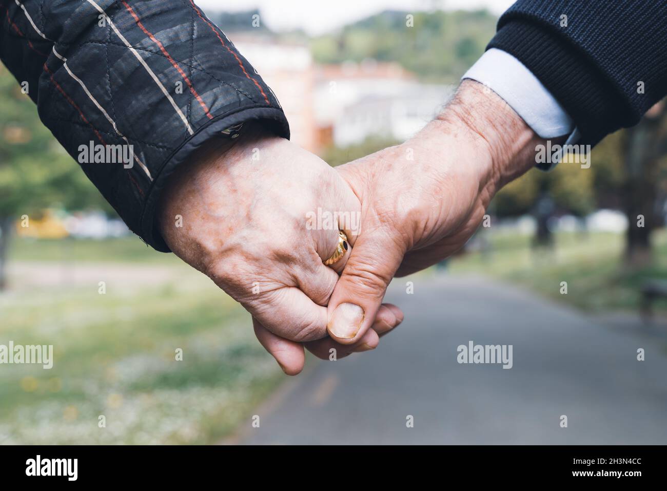 Couple holding hands together while walking in the park. Autumn season ...