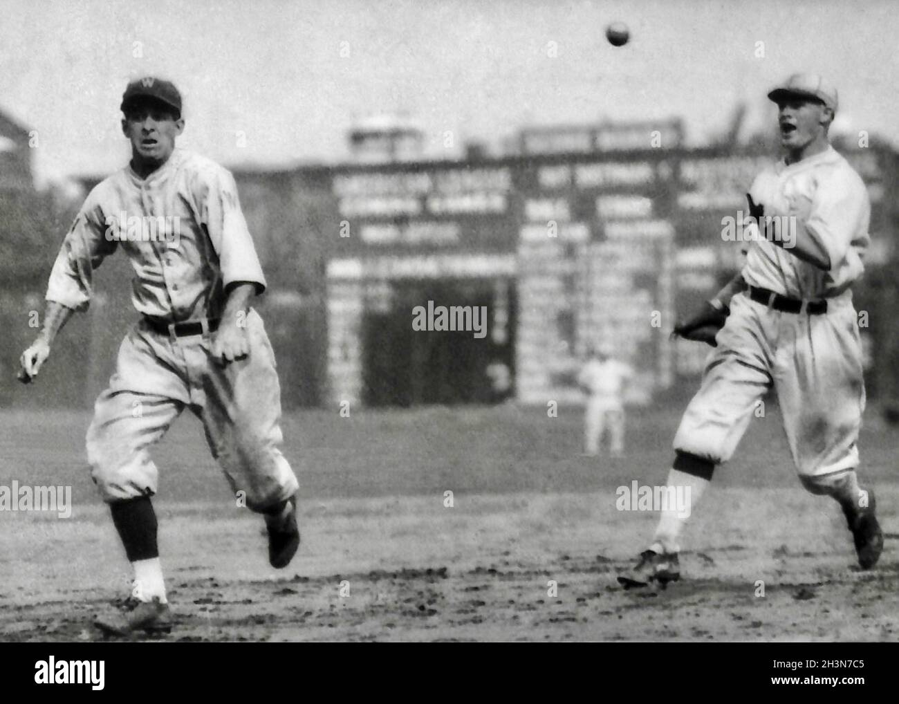  HistoricalFindings Photo: Washington Senators Baseball Team, Baseball Players,1909-1932,Sports,Uniform : Sports & Outdoors