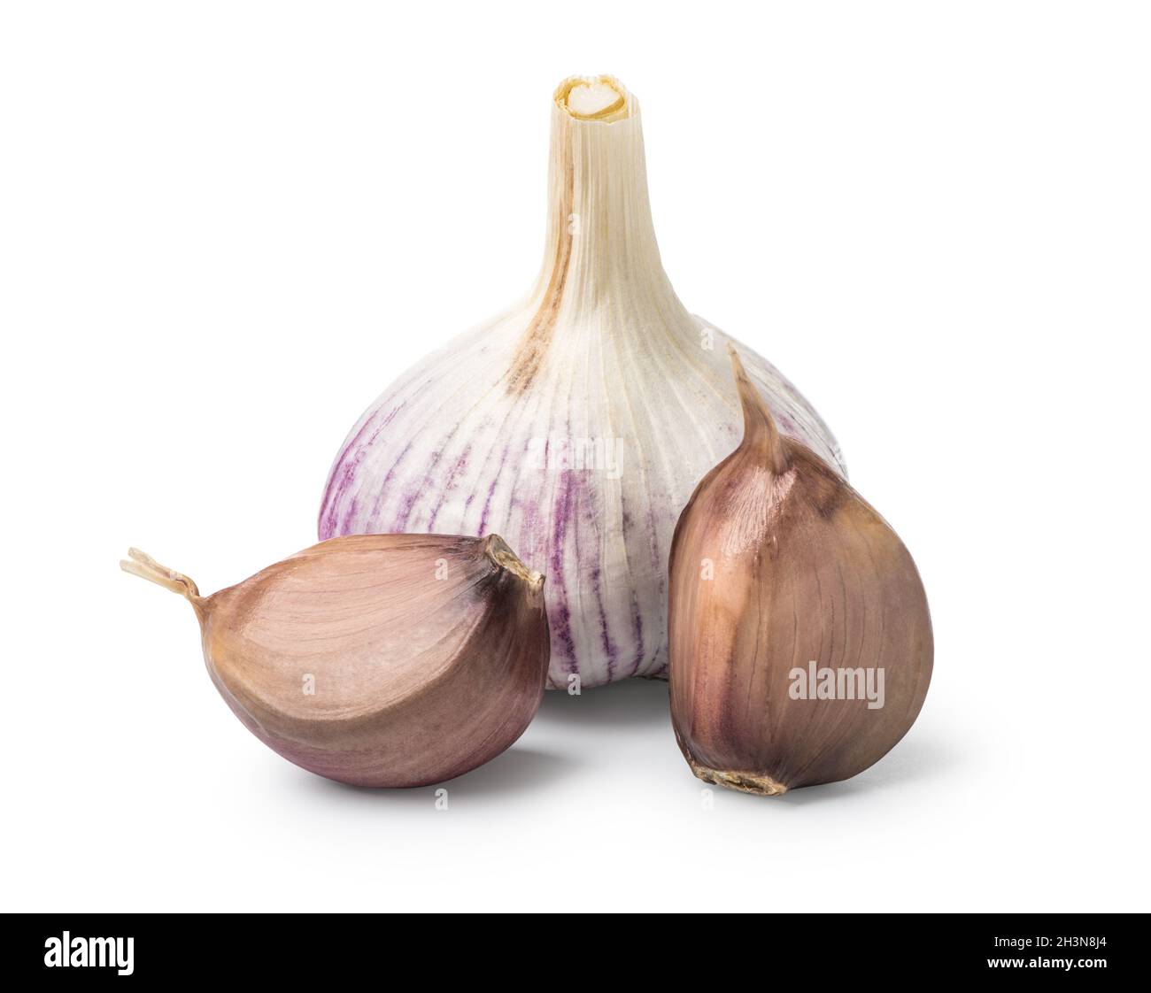 Head and cloves of garlic Stock Photo Alamy