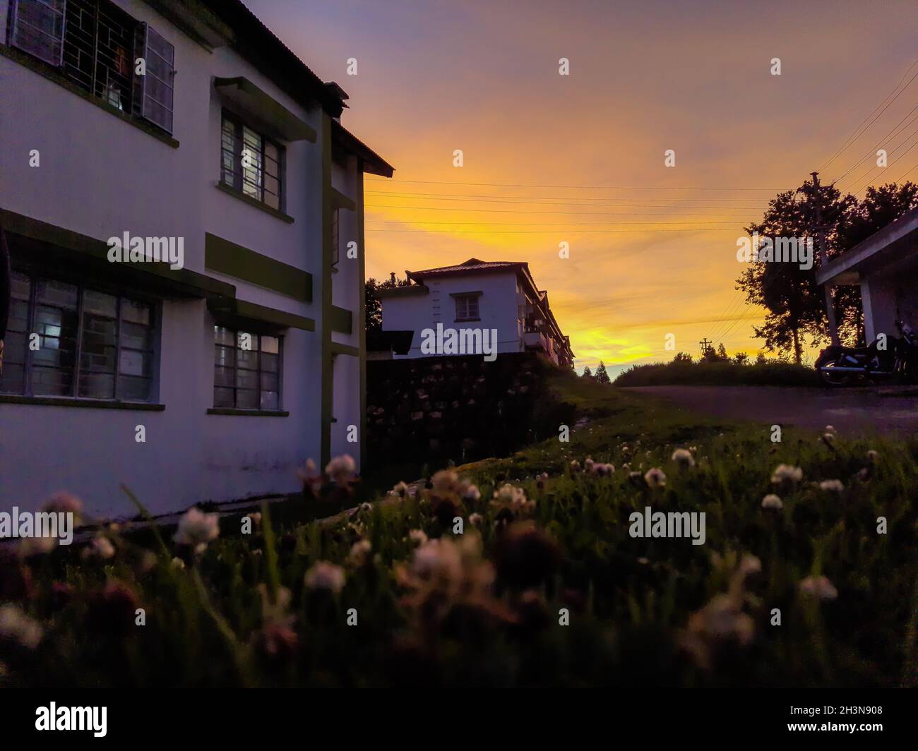 Modern residential backyard hi-res stock photography and images - Alamy