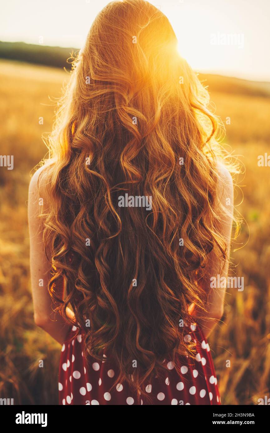 Woman with long wavy hair watching the sunset in the wheat field. Rear view. Sunset light Stock Photo